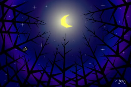 森の月夜
